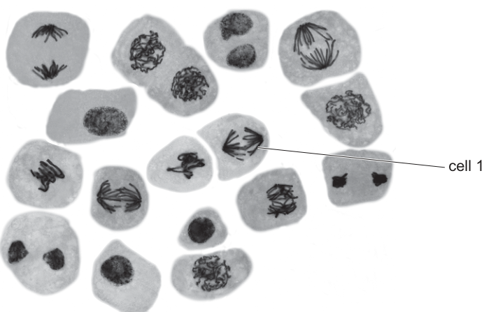 Fig. 23.1