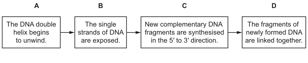 Fig. 24.1