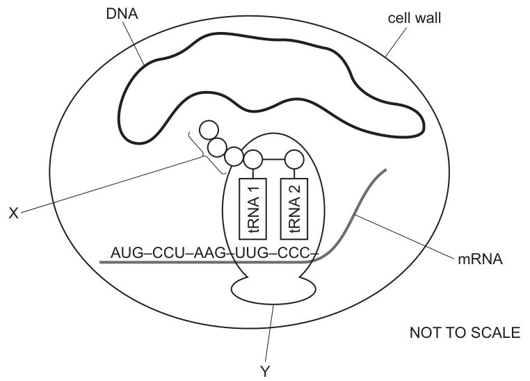 Fig. 27.1