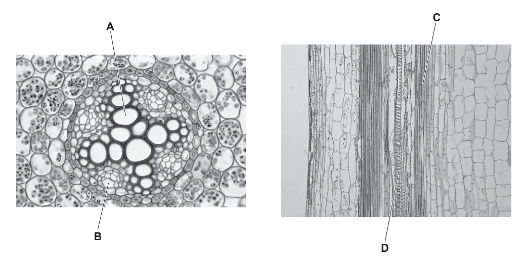 Fig. 28.1