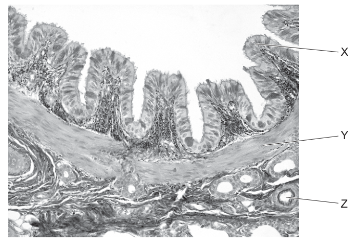 Fig. 37.1