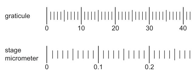 Fig. 1.2