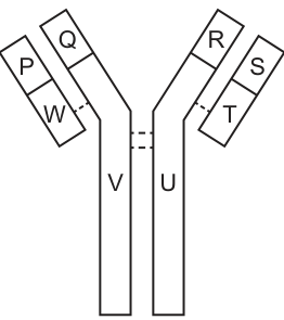 Fig. 40.1