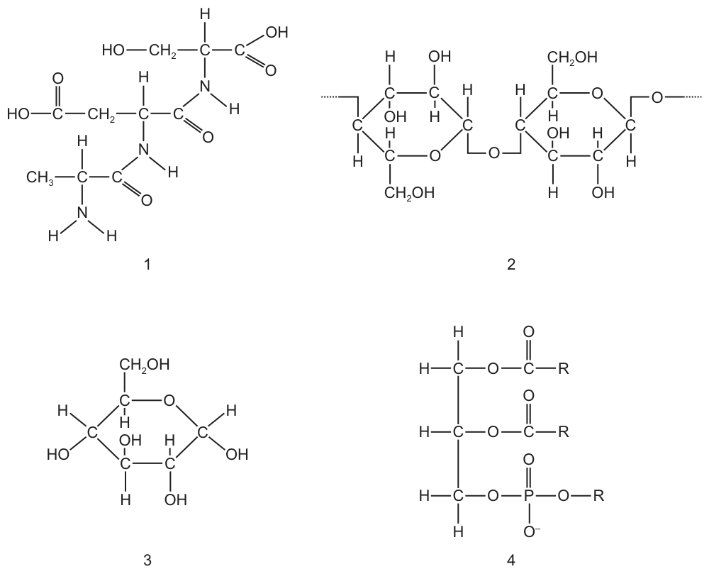 Fig. 6.1