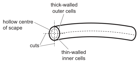 Fig. 20.1