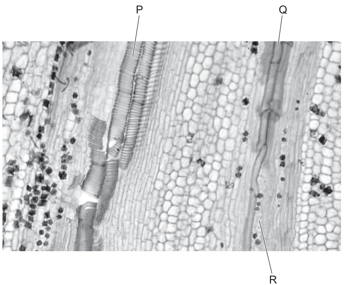 Fig. 28.1