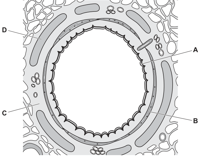 Fig. 34.1