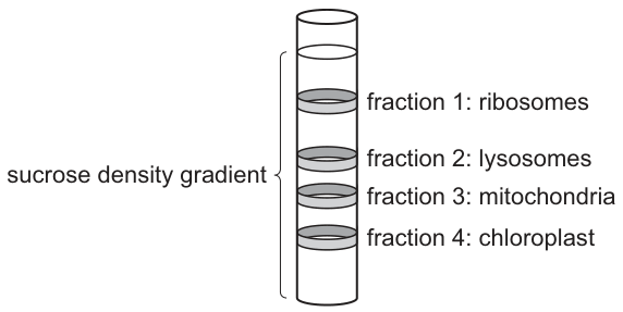 Fig. 2.1