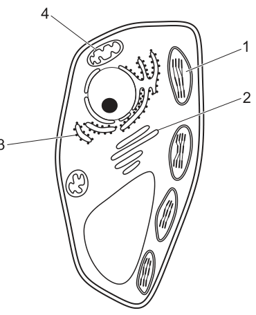 Fig. 3.1