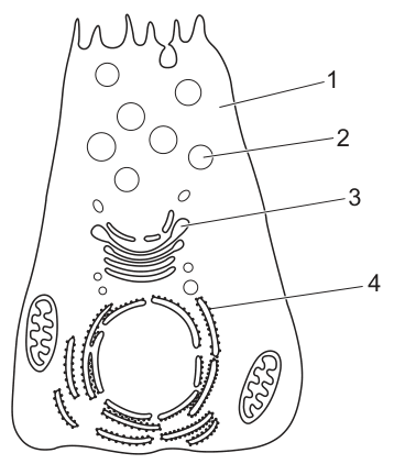 Fig. 6.1