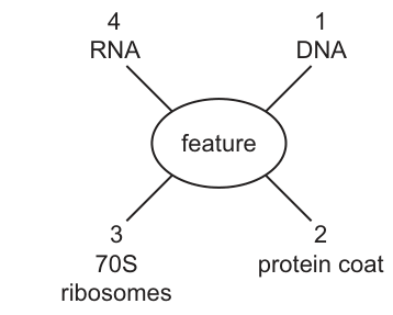 Fig. 7.1