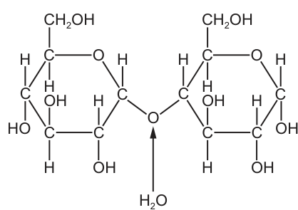 Fig. 10.1