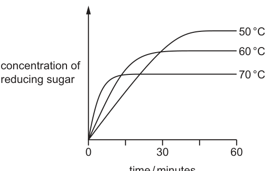 Fig. 16.1