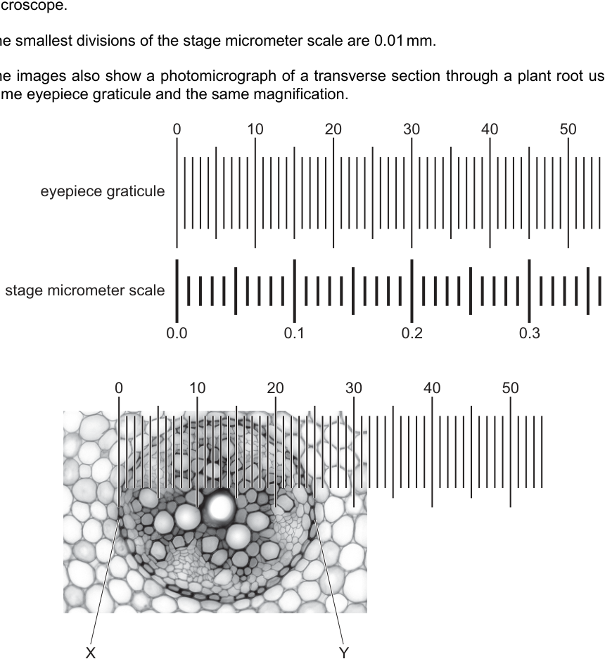 Fig. 2.1