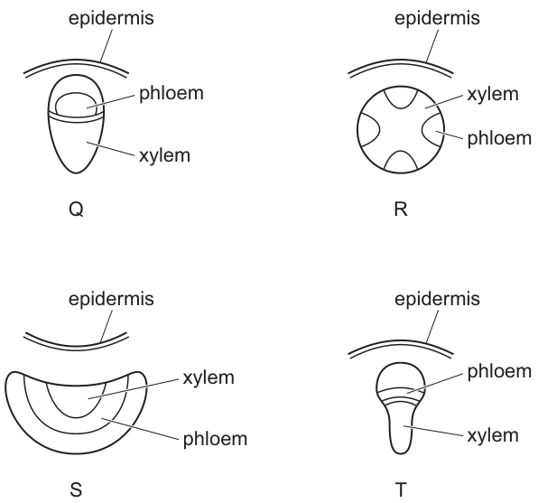 Fig. 26.1