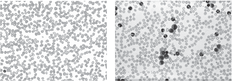 Fig. 32.1