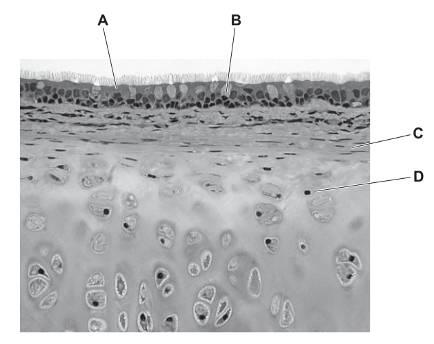 Fig. 35.1