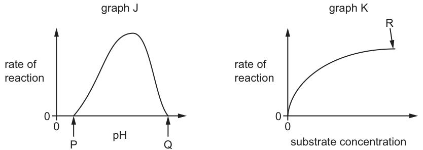 Graphs J and K