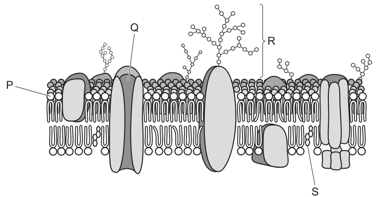 Fig. 16.1