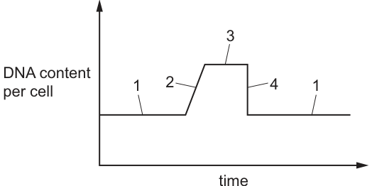 Fig. 19.1