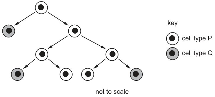 Fig. 20.1