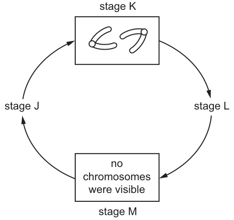 Fig. 21.1