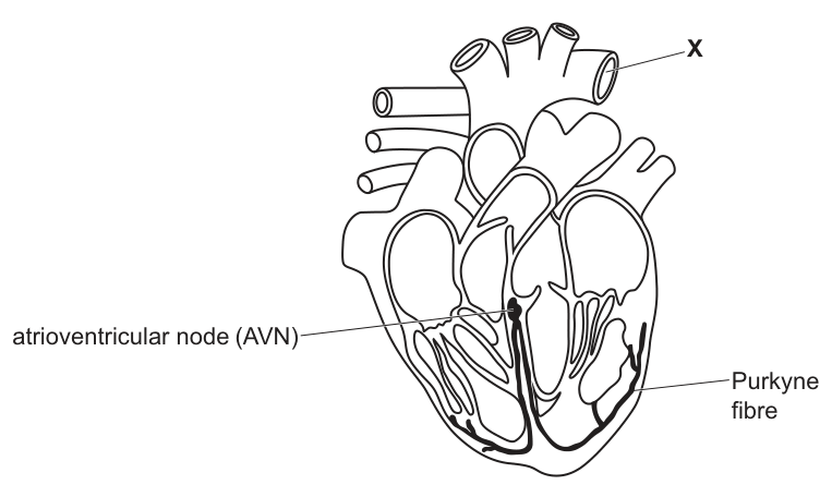 Fig. 2.1