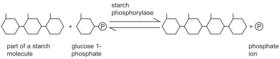 Fig. 3.1