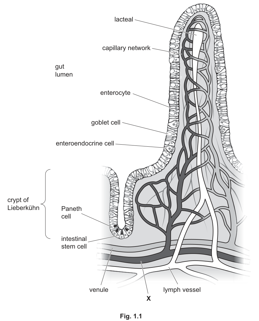 Fig. 1.1