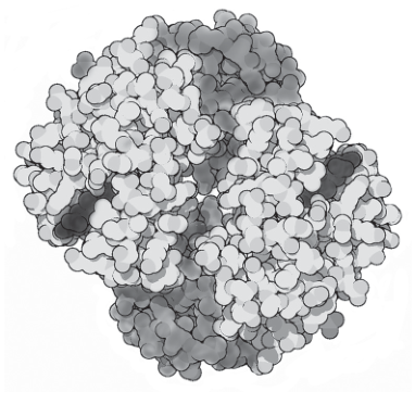 Fig. 6.1