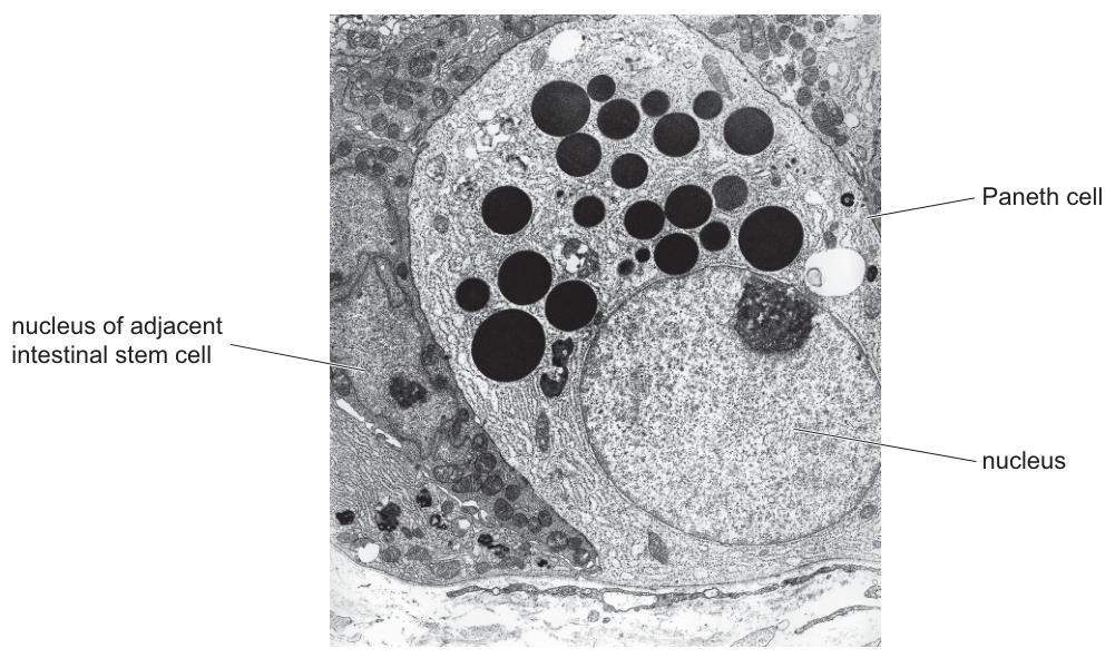 Fig. 1.2