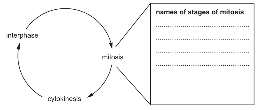 Fig. 1.3