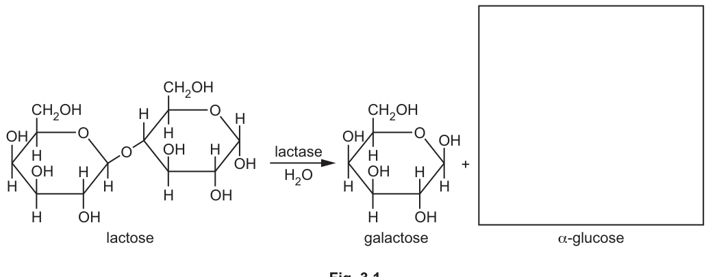 Fig. 3.1