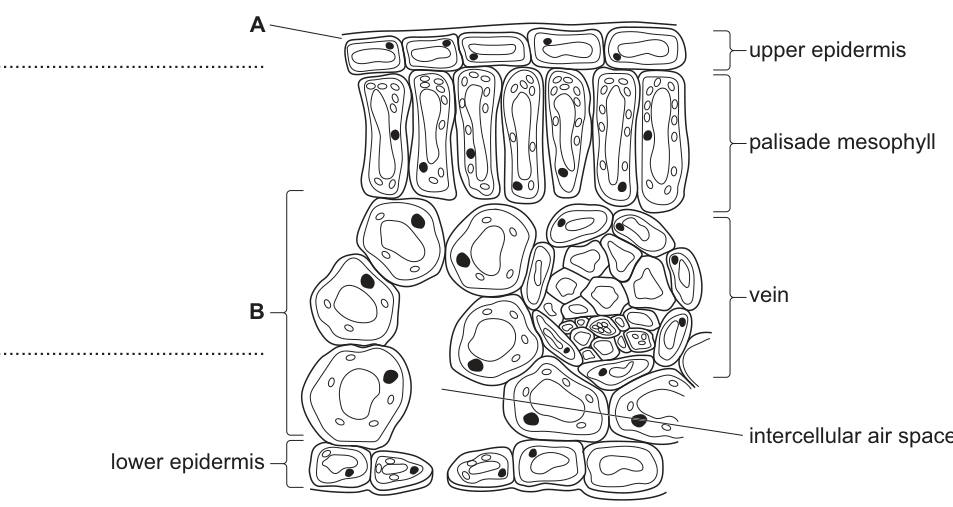Fig. 5.1