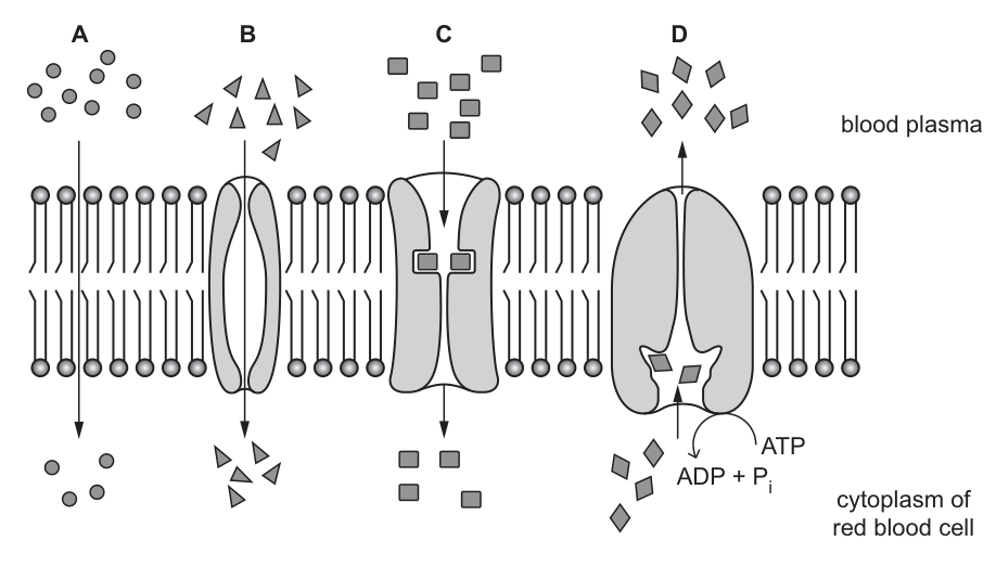 Fig. 1.1