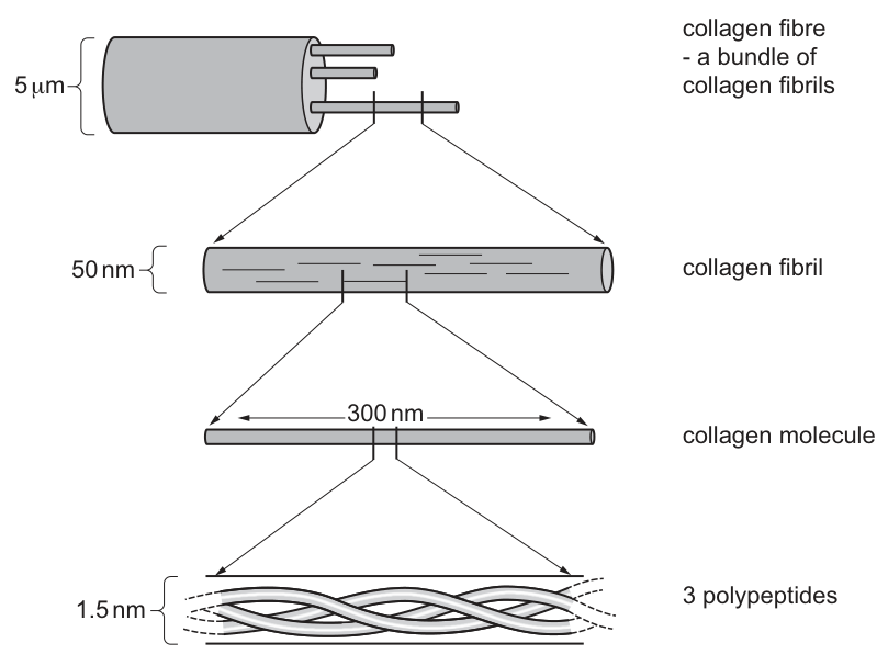 Fig. 2.1