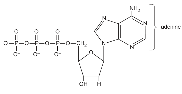 Fig. 4.1