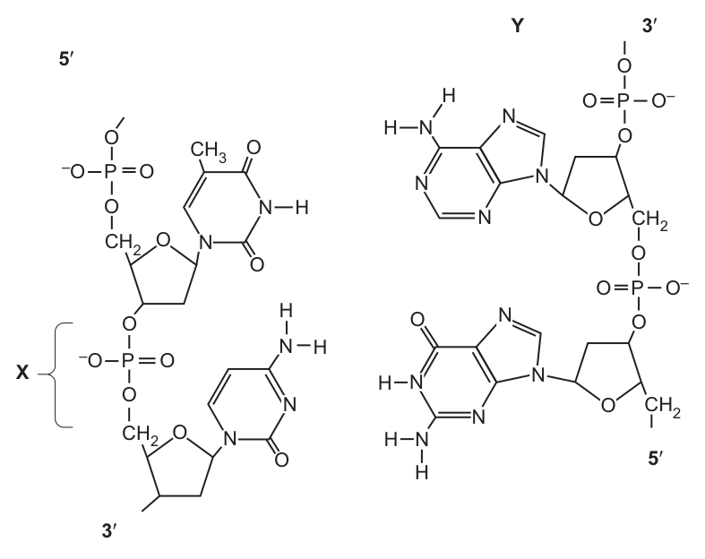 Fig. 4.2