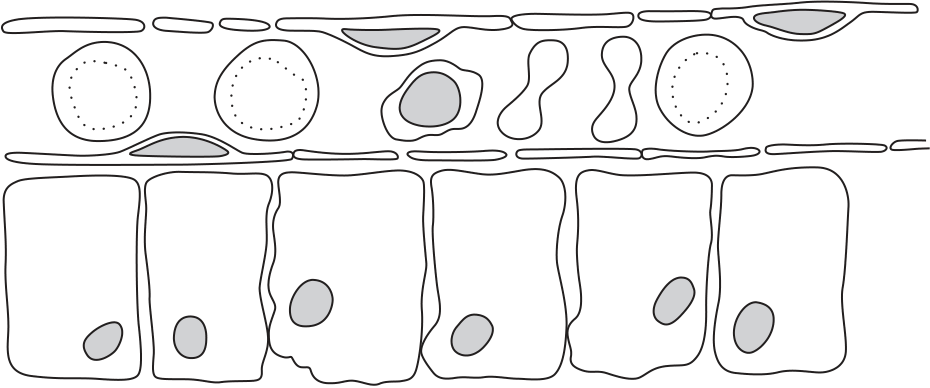 Fig. 6.2