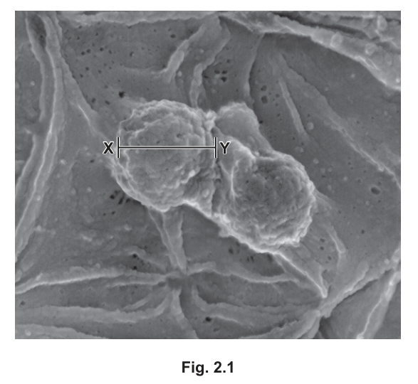 Fig. 2.1