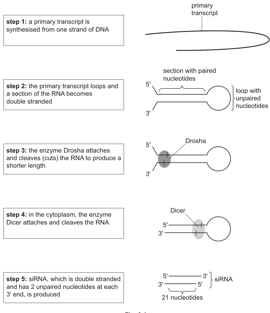 Fig. 3.1