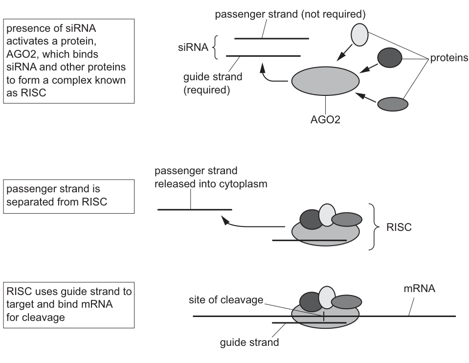 Fig. 3.2