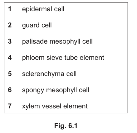 Fig. 6.1