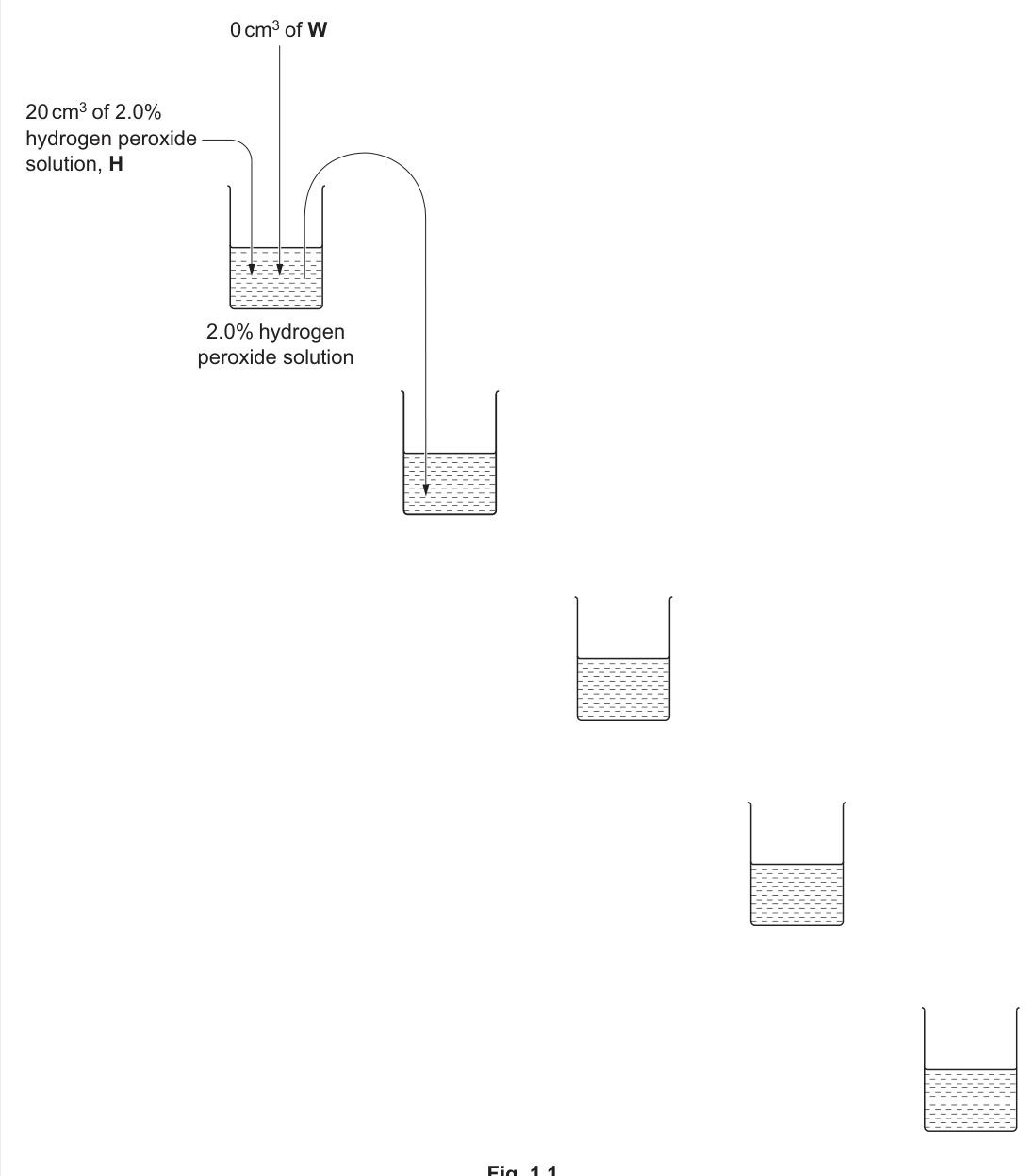 Fig. 1.1