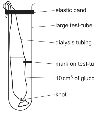 Fig. 1.2