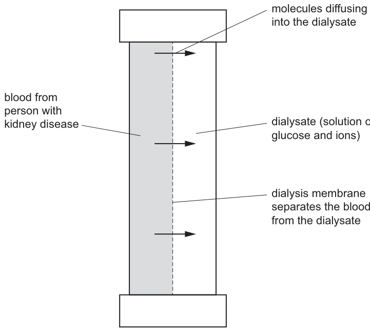 Fig. 1.4