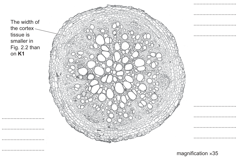 Fig. 2.2