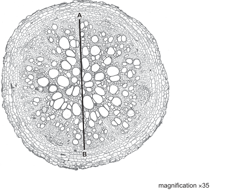 Fig. 2.3