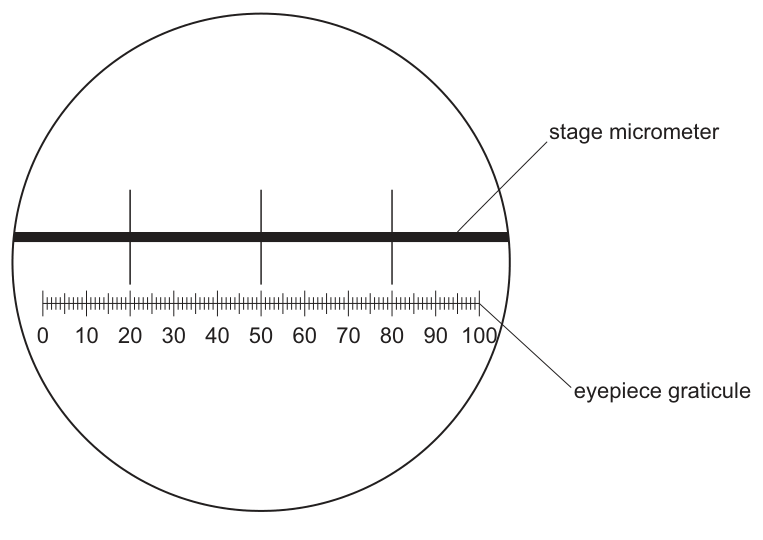 Fig. 2.3