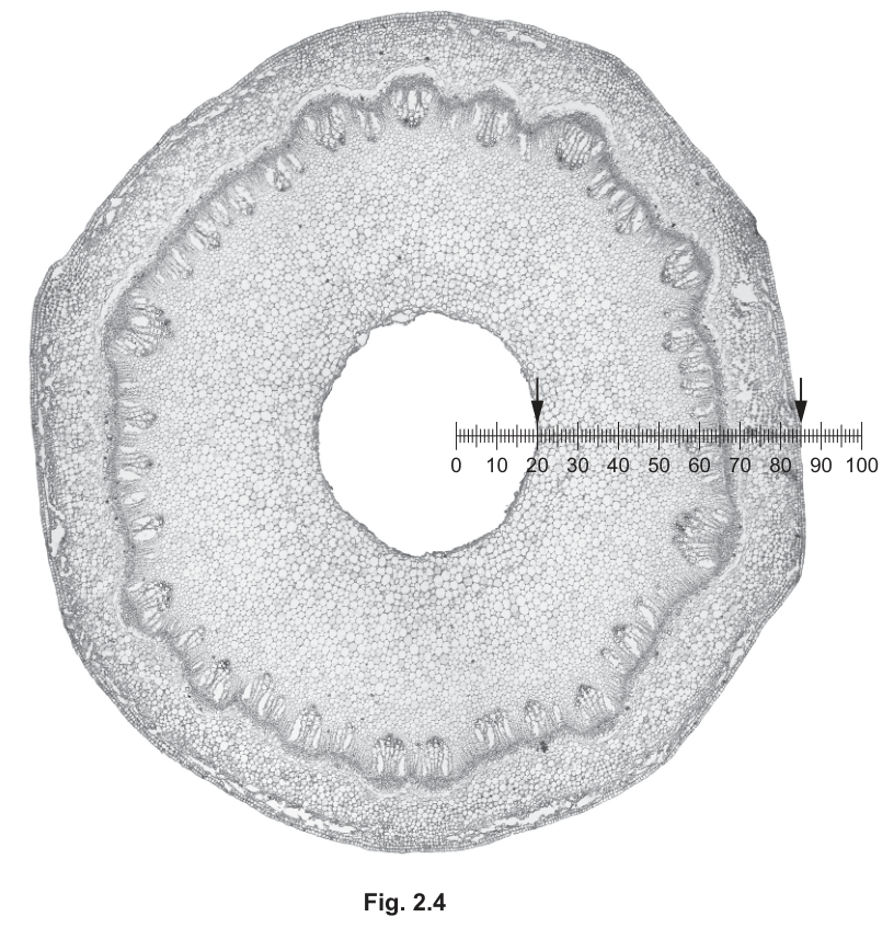 Fig. 2.4